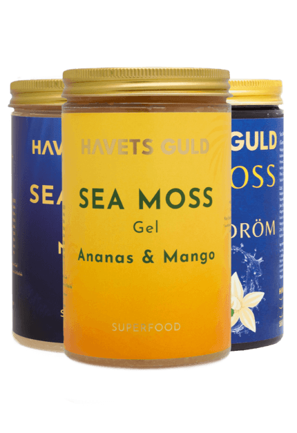 seamoss 3 smaker naturell ananasmango blåbär