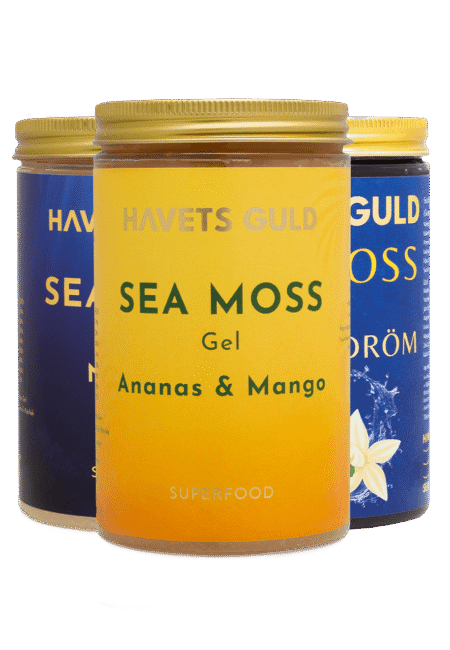 seamoss 3 smaker naturell ananasmango blåbär