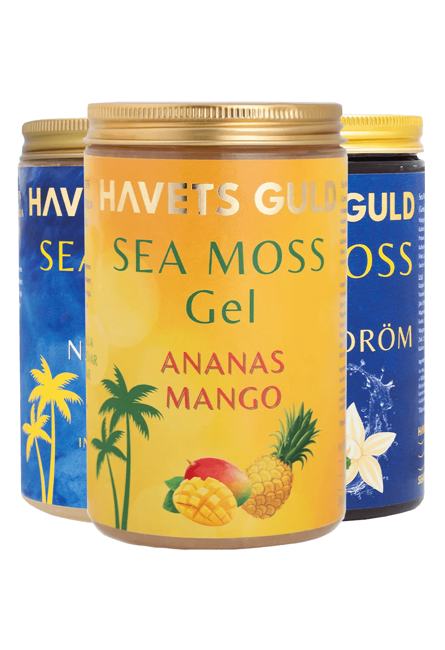 3-pack Kombo = 1 st Naturell, 1 st Ananas & Mango, 1 st Blåbärsdröm