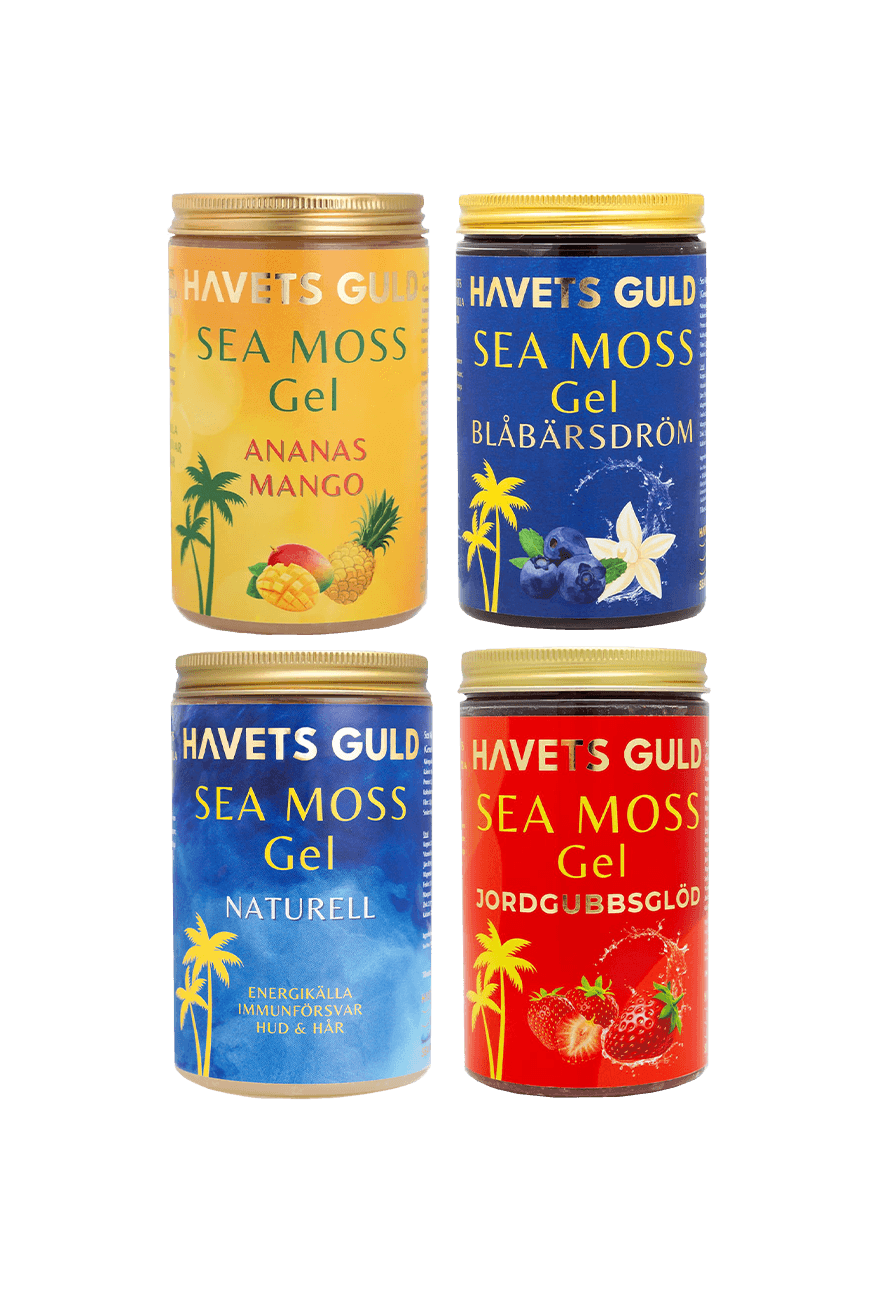 4-pack Kombo = 1 st Naturell, 1 st Ananas & Mango, 1 st Blåbärsdröm, 1 st Jordgubbsflirt