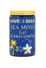 Sea Moss Gel • Blue Balance (Blåbärsdröm)