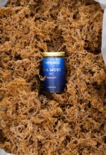 Sea Moss Gel • Original (Naturell) - Bild 6