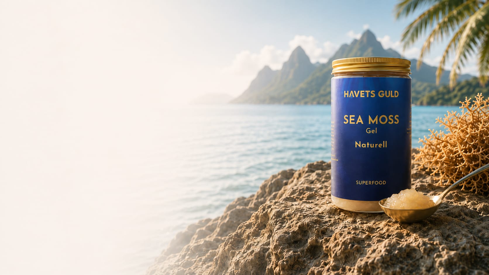 Sea Moss Gel vid havet
