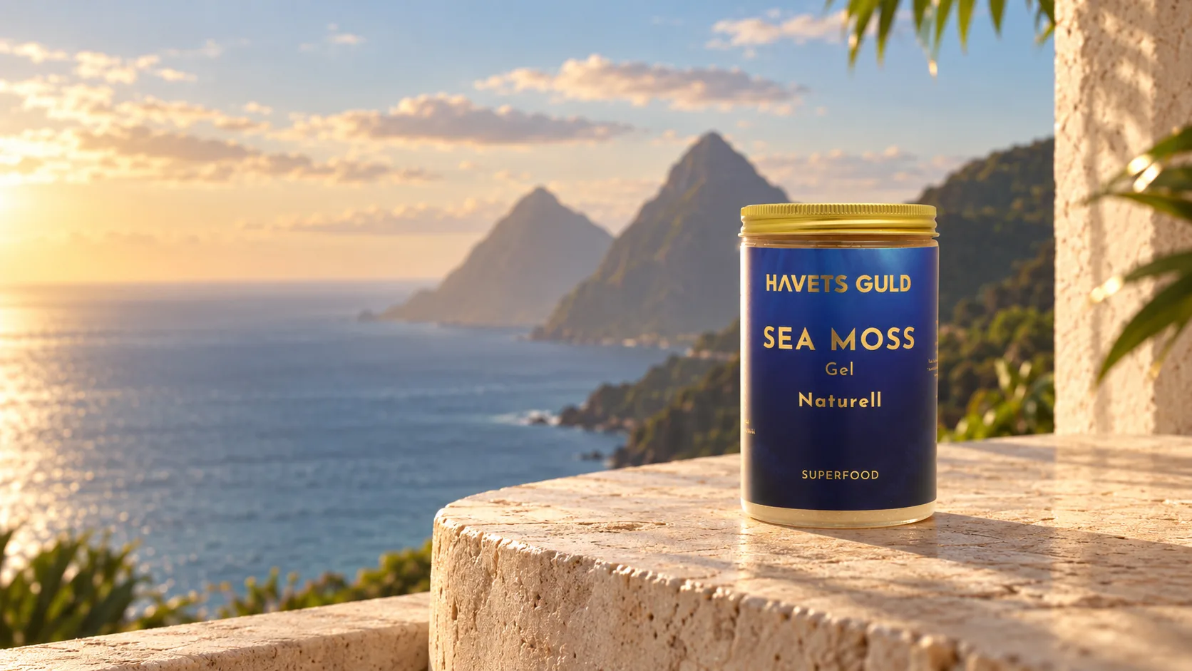 Sea Moss Gel vid havet